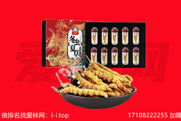 禄劝县回收虫草.jpg
